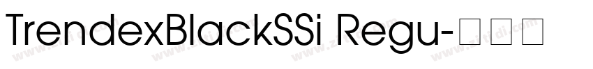 TrendexBlackSSi Regu字体转换